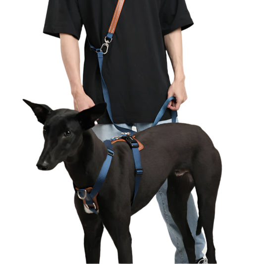 Multifunctional Dog Rope Leash