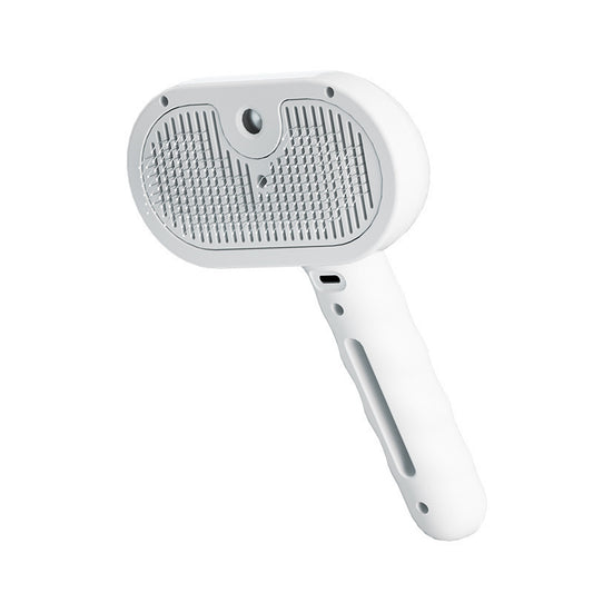 Self-Cleaning Steam Brush